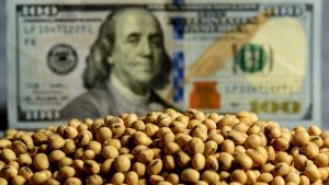 Dólar blend: el Gobierno aclaró cuándo termina y contradijo al FMI